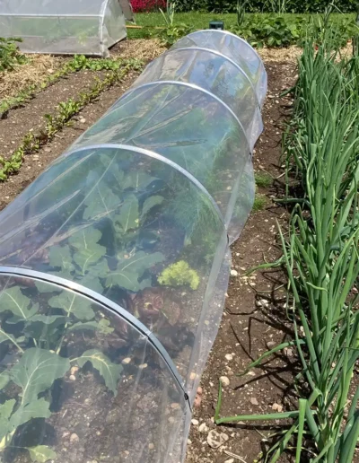 Brühwiler Gartenbogen im Einsatz