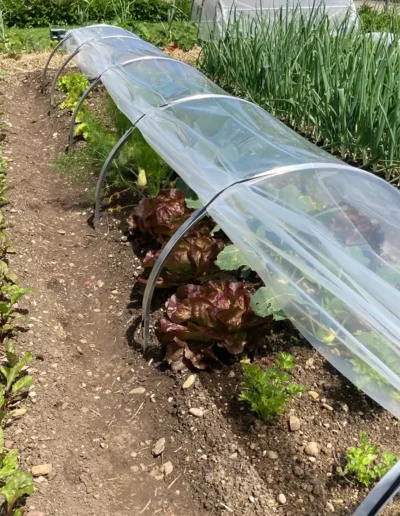 Brühwiler Gartenbogen im Einsatz