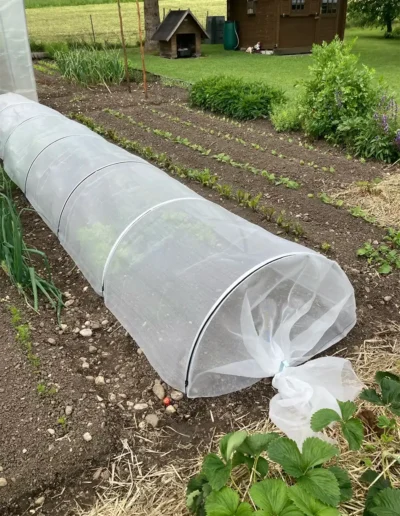 Brühwiler Gartenbogen im Einsatz