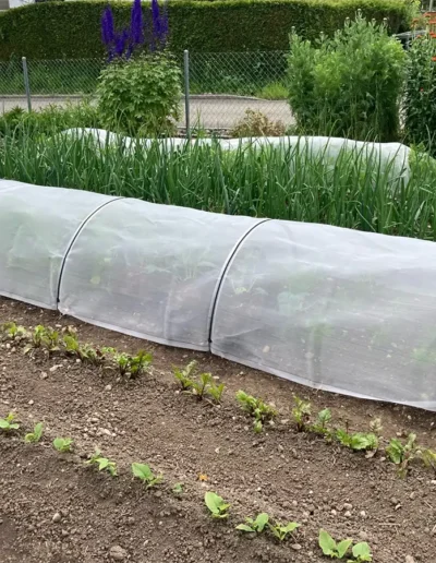 Brühwiler Gartenbogen im Einsatz