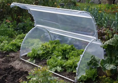 Brühwiler Gartenhaube aus Aluminium im Einsatz