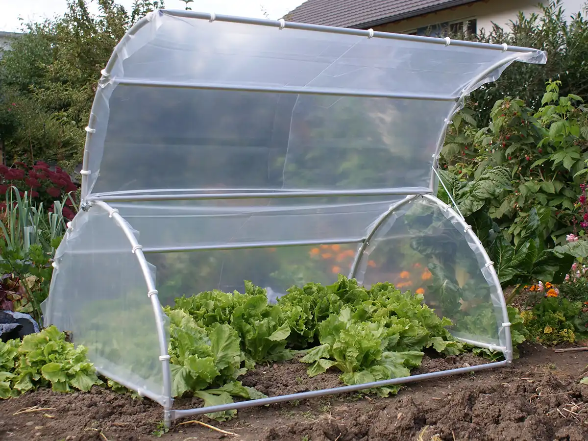 Brühwiler Gartenhaube aus Aluminium im Einsatz