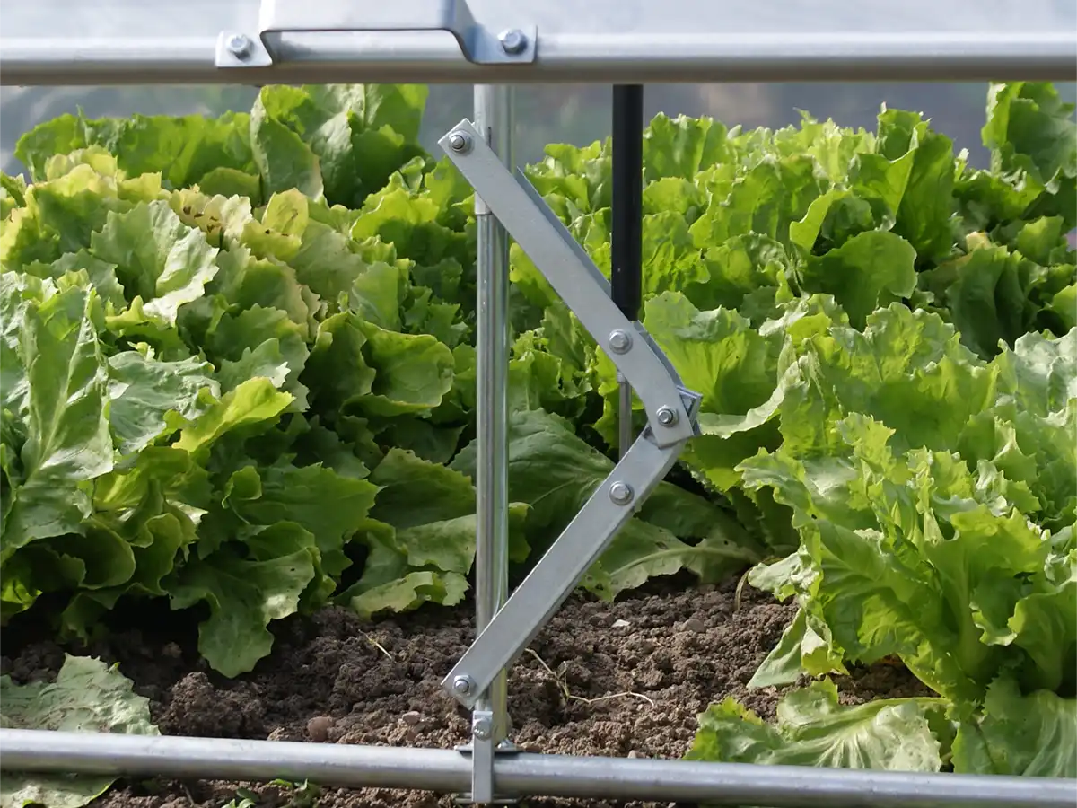 Brühwiler Gartenhaube automatischer Öffner