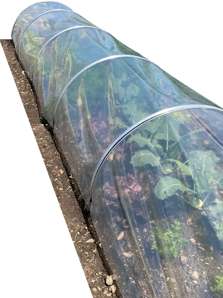 Brühwiler Gewächshäuser Gartenbogen
