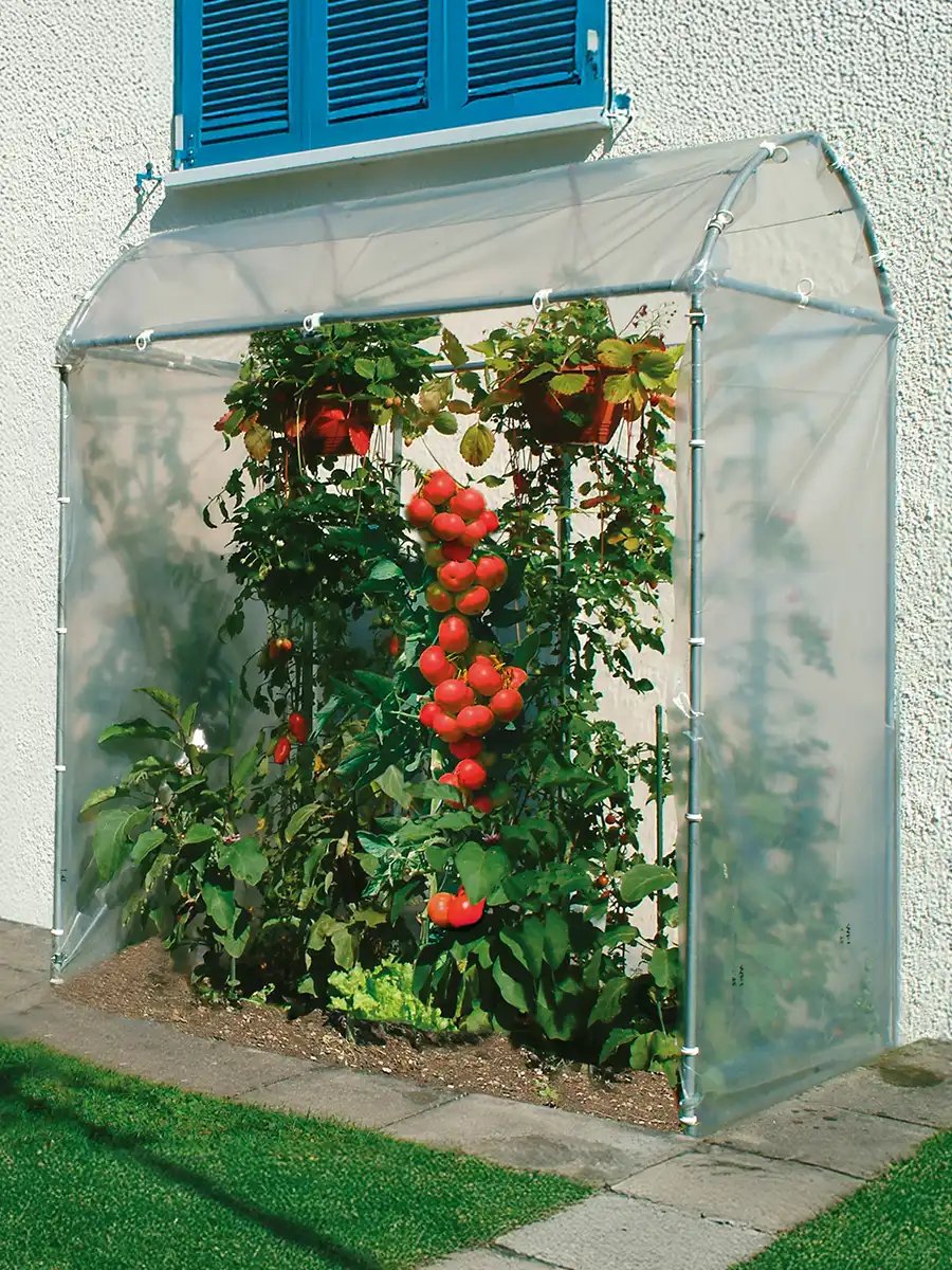 Brühwiler Tomatenhaus TH100-175 Stahl