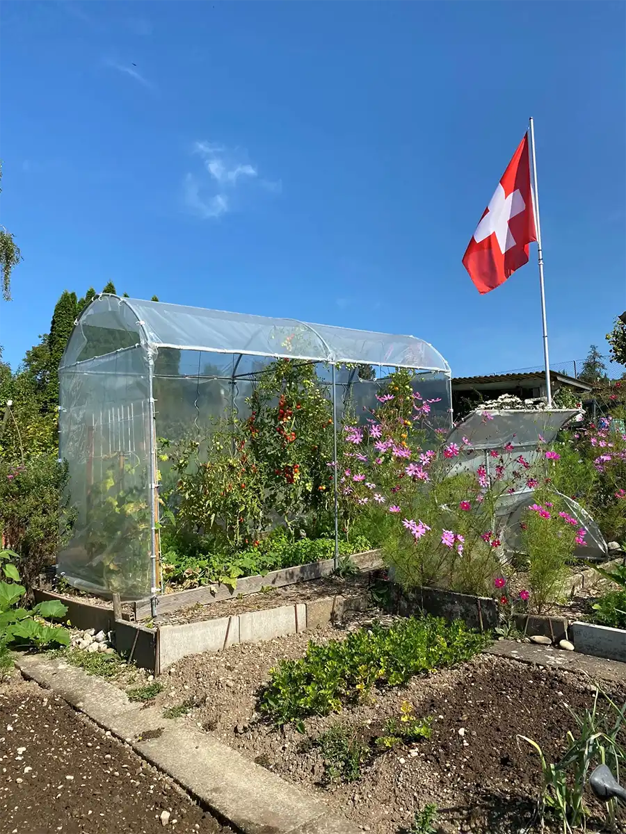 Brühwiler Tomatenhaus TH140-340