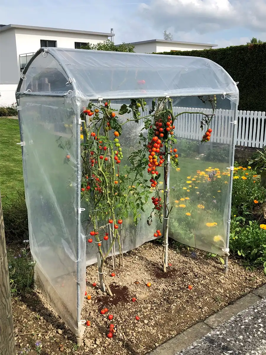 Brühwiler Tomatenhaus TH80-150 Stahl